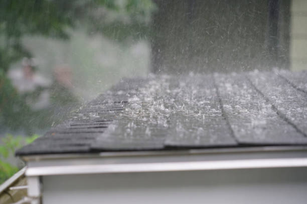 Best Roof Leak Repair  in Le Claire, IA